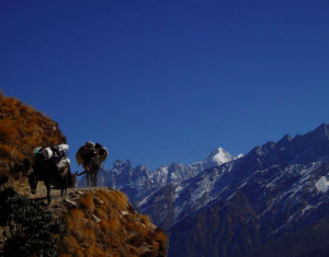 Trek Himalayas