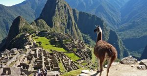 Five Bucket List Adventures - Trek to Machu Picchu
