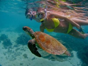 Five Bucket List Adventures -Turtles in Ningaloo