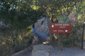 Bright Angel Trail