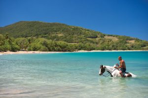 Exploring Guadeloupe Archipelago Beaches