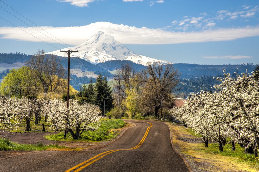 A Trip to Mount Hood in Oregon