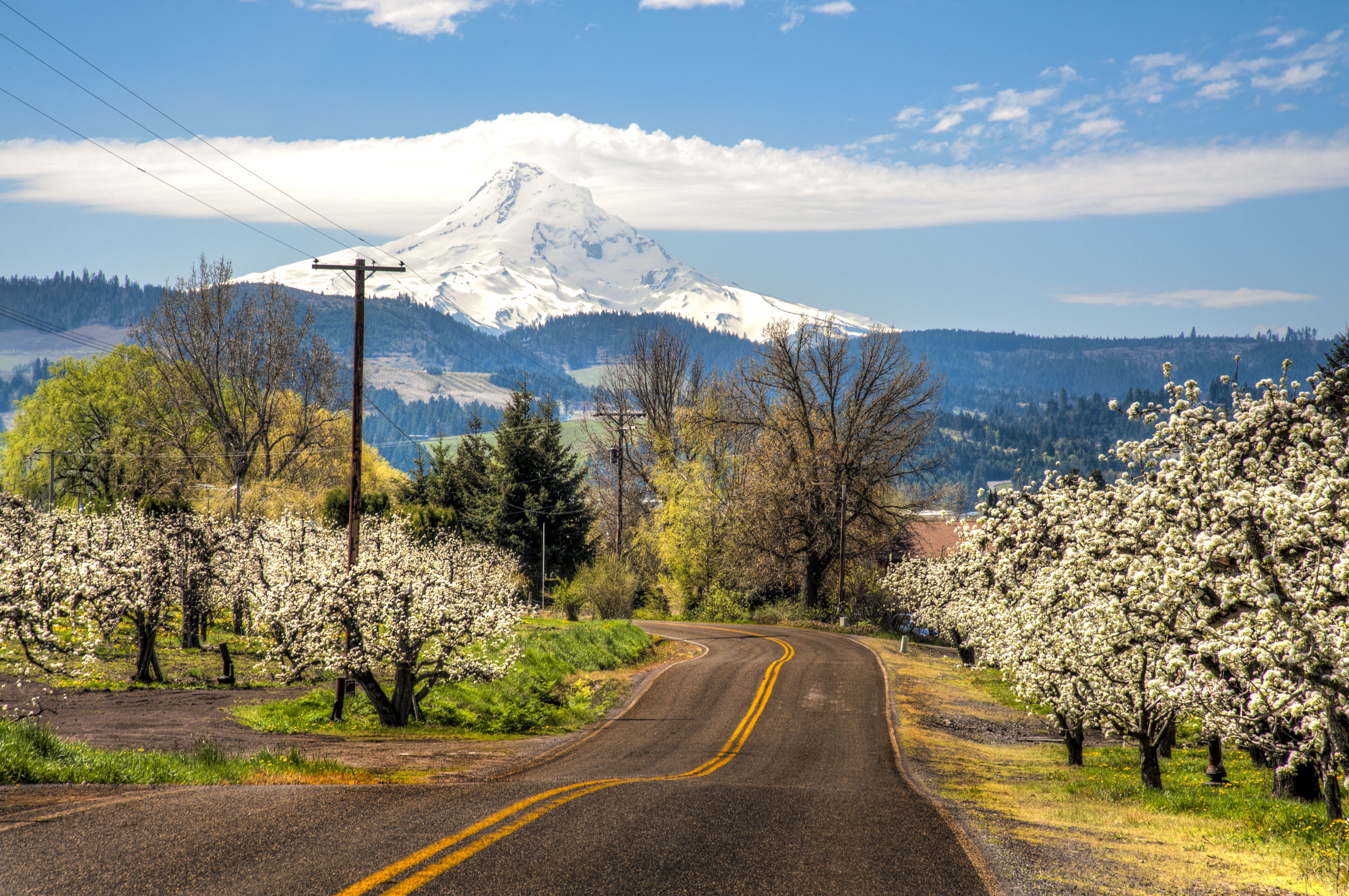 A Trip to Mount Hood in Oregon