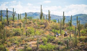 Real Arizona image Courtesy of the Arizona Office of Tourism