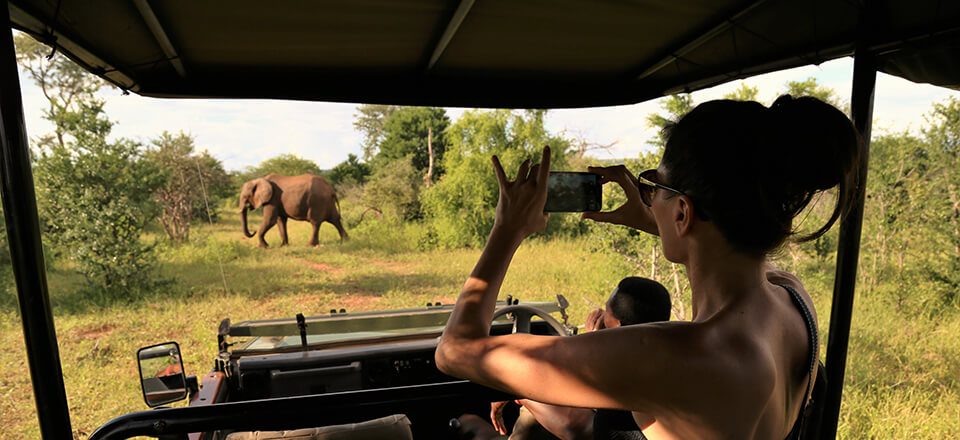 Victoria falls island lodge game drive activity