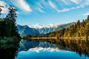 Wild Adventures in New Zealand