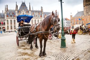 The horse-drawn carriages in Brugge