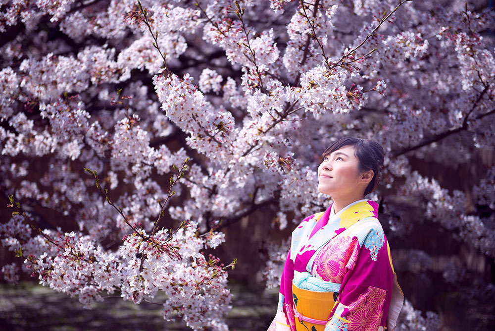 Spring in Japan