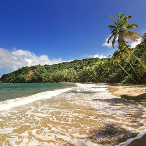 Beautifull beach in Dominica