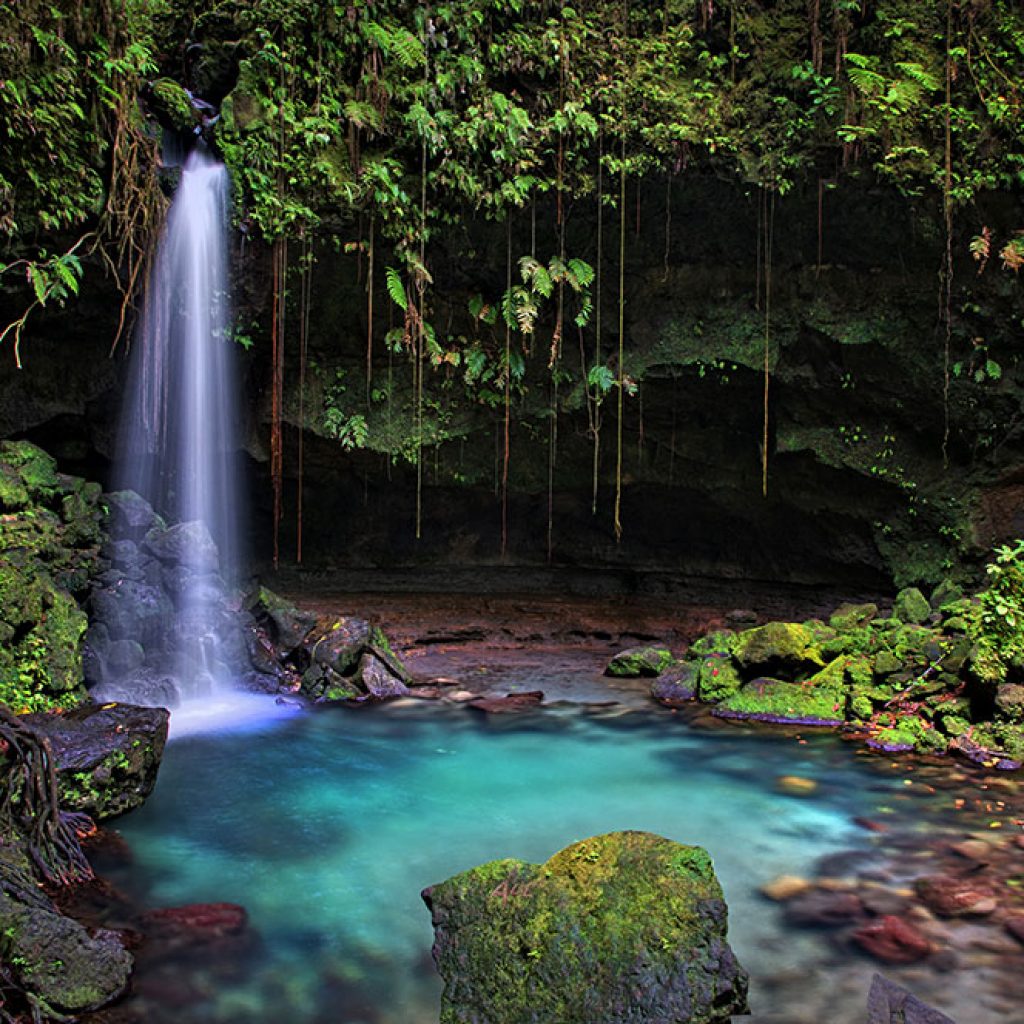 Emerald Pool, Dominica