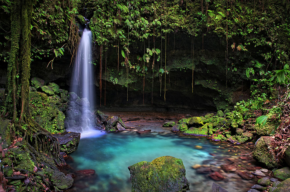 Emerald Pool, Dominica