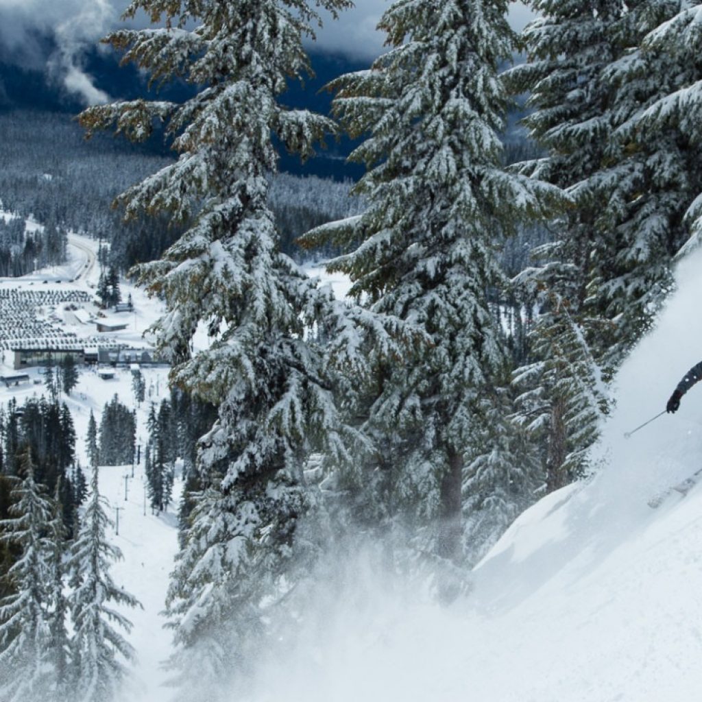 Mt. Hood Meadows