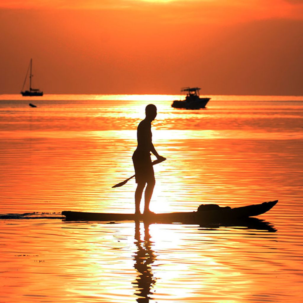 Paddleboarding in the Sunset