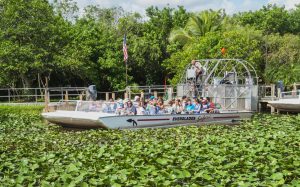 Airboat full of tourists leaves for the tour in the Everlades National Park in Florida, USA