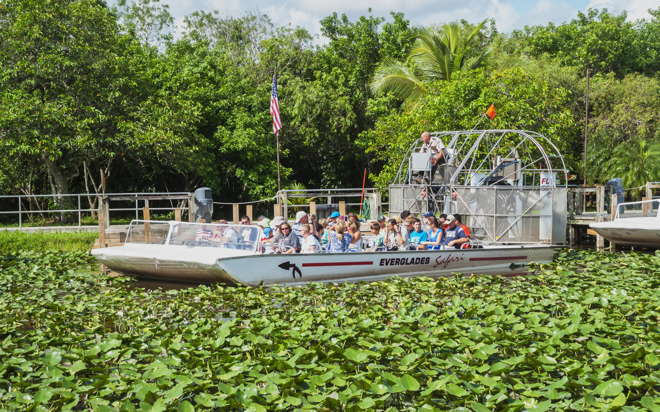 everglades tour parkland