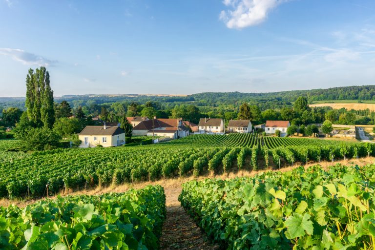 Best France Vacation Guide - Holidays in Champagne Region
