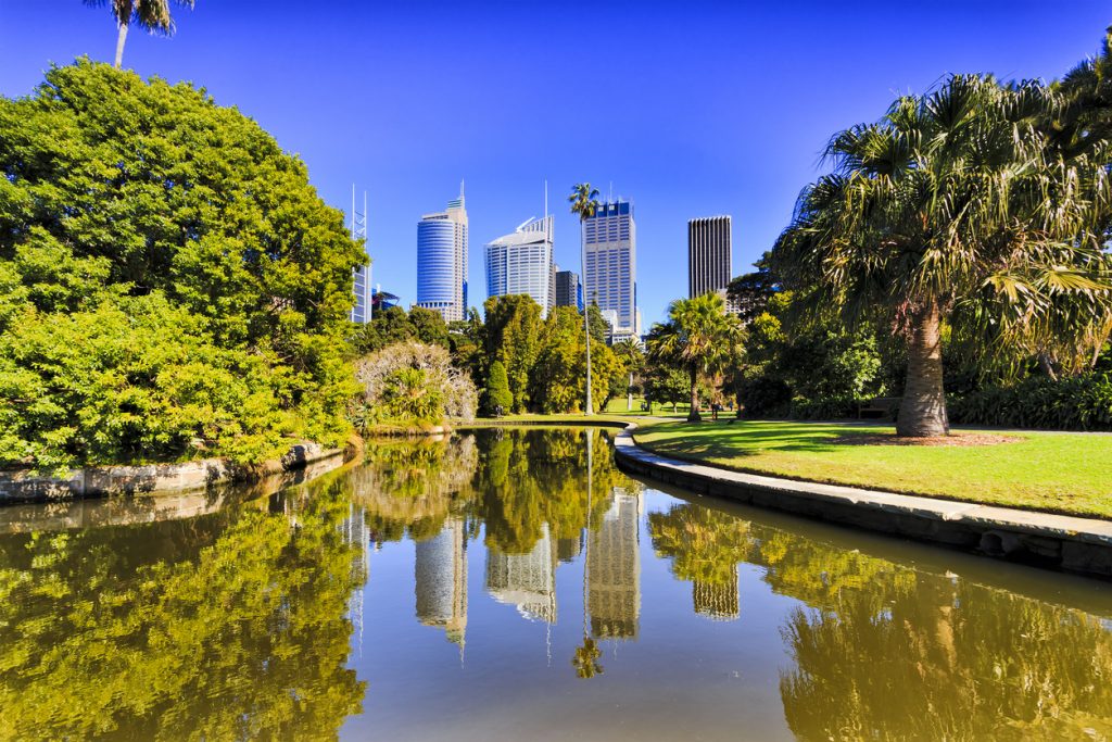 Royal Botanic garden pond