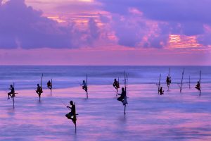 Fishermen on stilts in the silhouette at sunset in Galle, Sri Lanka