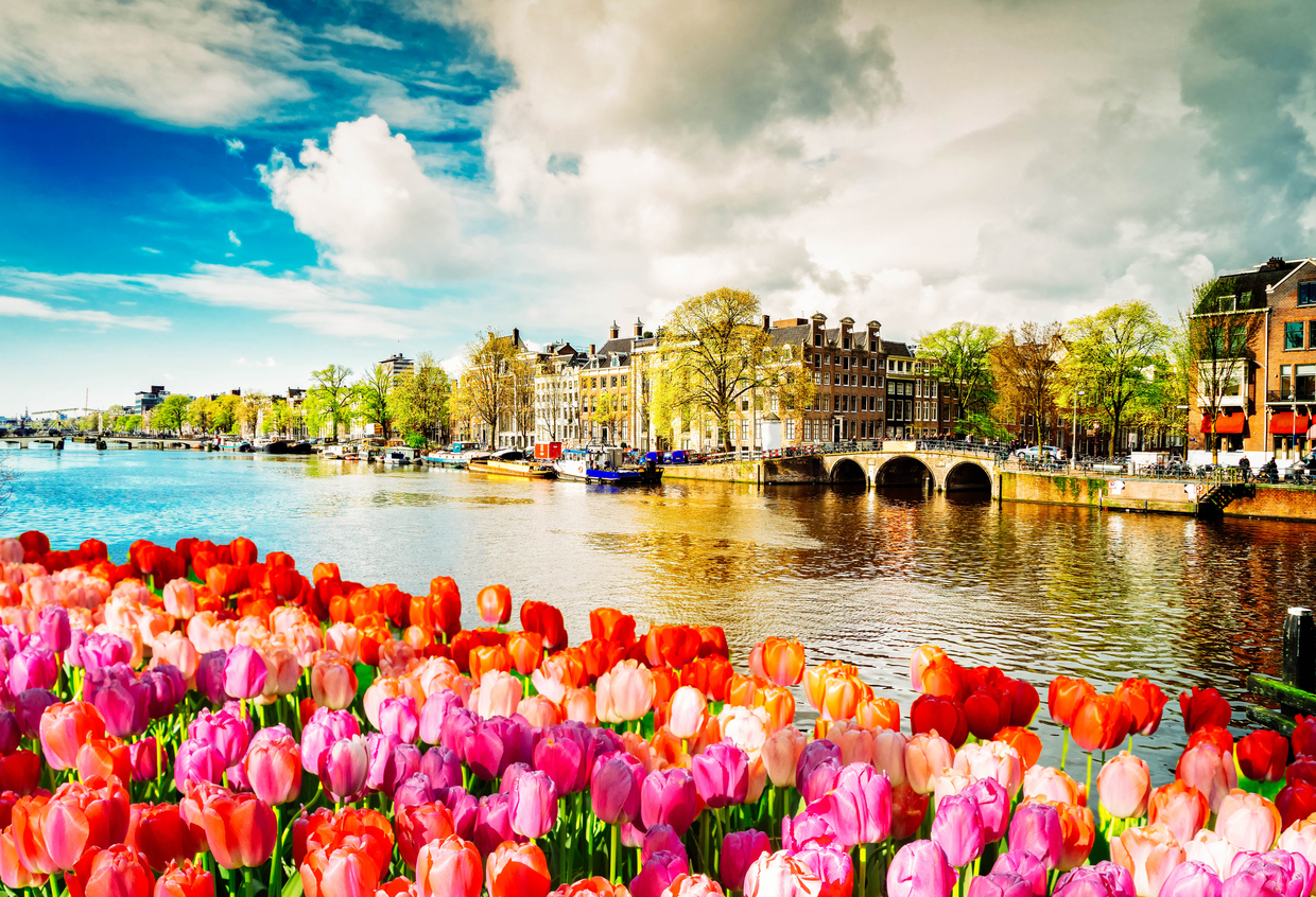 Embankment of Amstel canal with spring tulips in Amsterdam