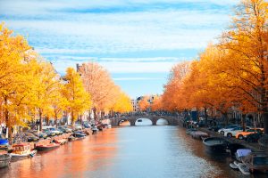 Golden Amsterdam in Autumn - Fall