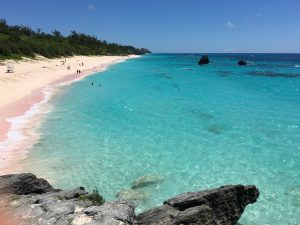 Perfect stretch of pink sand and blue water. Warwick Long Bay, Bermuda.