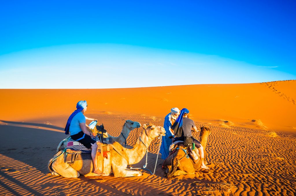 Camel trek in the desert of Morocco