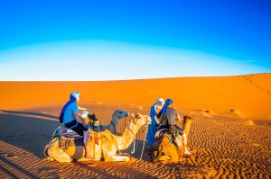Camel trek in the desert of Morocco