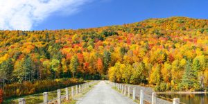 Countryside panorama view of Stowe with Autumn mountains and forest