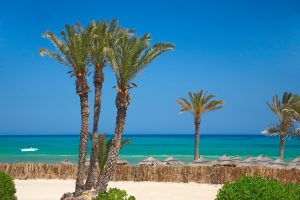 Thatched sunshades and palm trees, Tunisia, Djerba