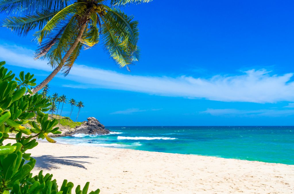 Tropical beach in Sri Lanka