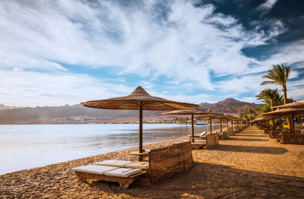 Relax under a parasol on the beach of Red Sea, Egypt