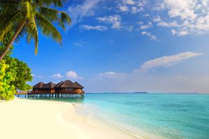 A Maldives island with sandy beach, palm trees, overwater bungalows and turquoise clear water