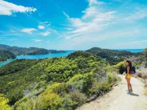 Anchorage, the landmark at Abel Tasman Coast Track