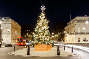 Christmas Decorations on Every Street