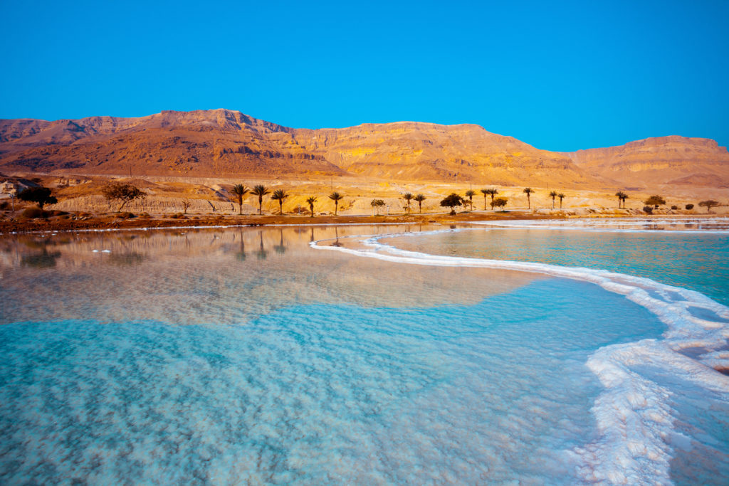 Dead Sea seashore with palm trees and mountains