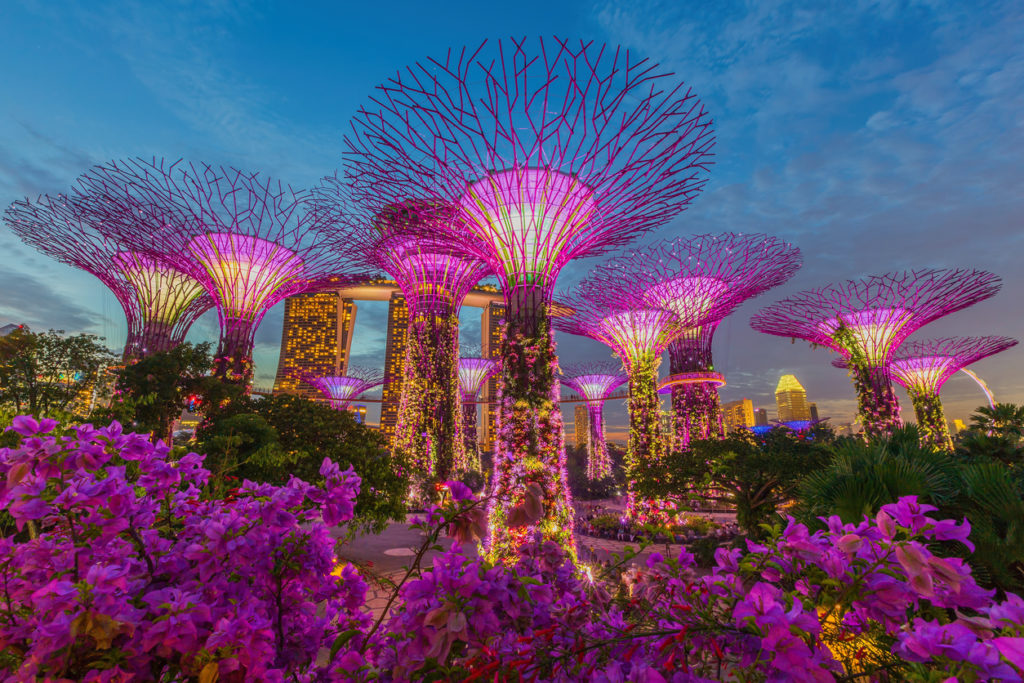 Night view of Gardens by the Bay 