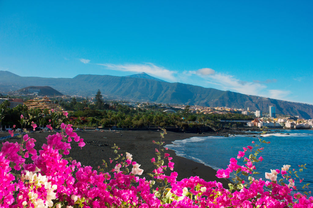 Black sand and bright flowers of Playa Jardin, Puerto de la Cruz, Tenerife, Spain