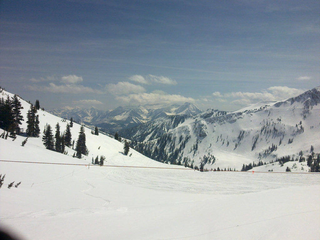 Snowscape Alta Utah.  Douglas firs stand crisply against the soft powder.