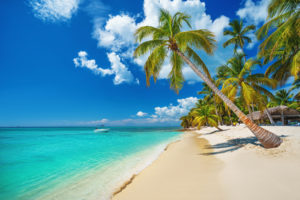 Tropical beach in Punta Cana, Dominican Republic