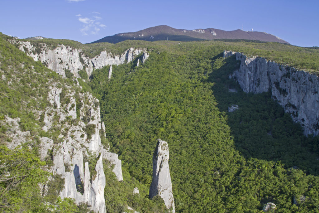 Vela Draga in the nature park Učka