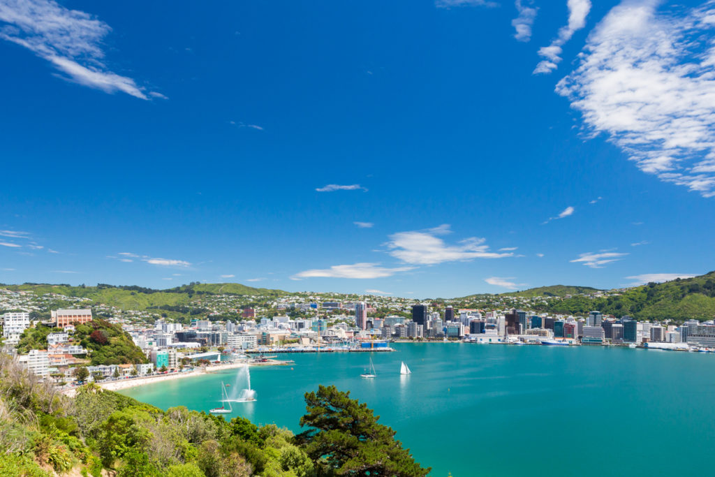 View from Mount Victoria into the bay of Wellington (capital city of New Zealand)