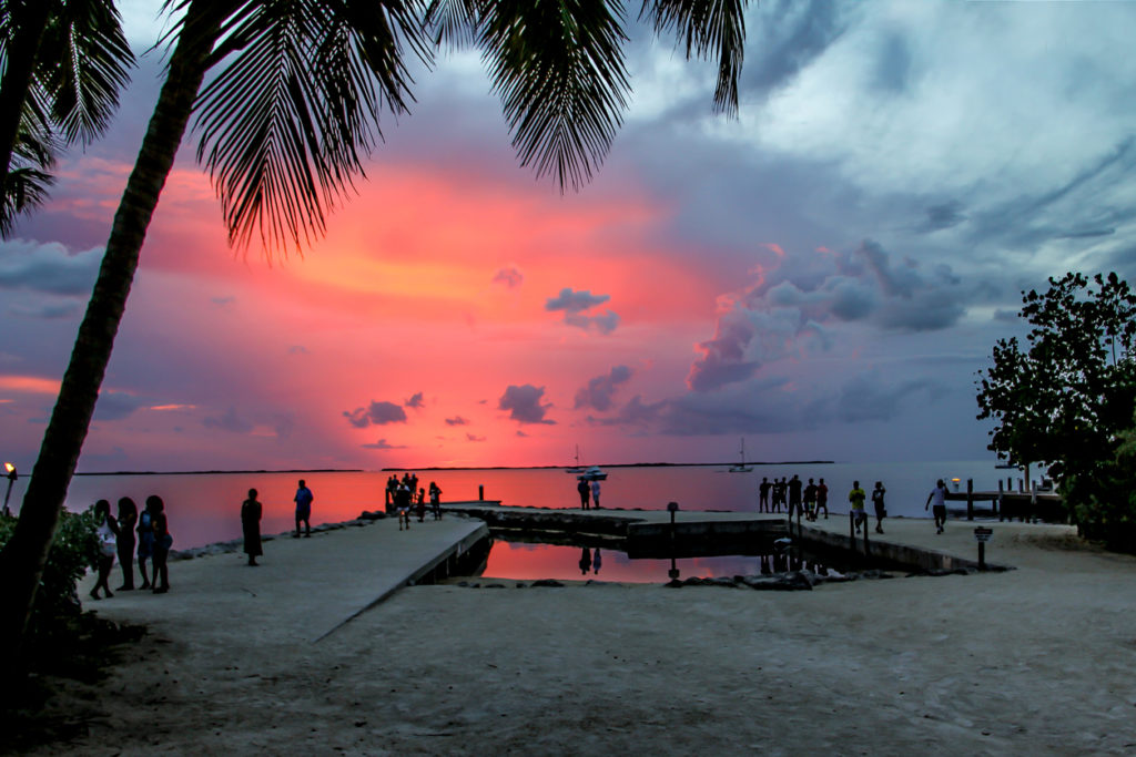 Palm Tree Sunset