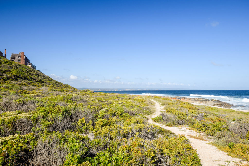 Beautiful view of the coast at Bosbokduin Nature Reserve in Still Bay, South Africa. It is known for its thatched roofed houses.