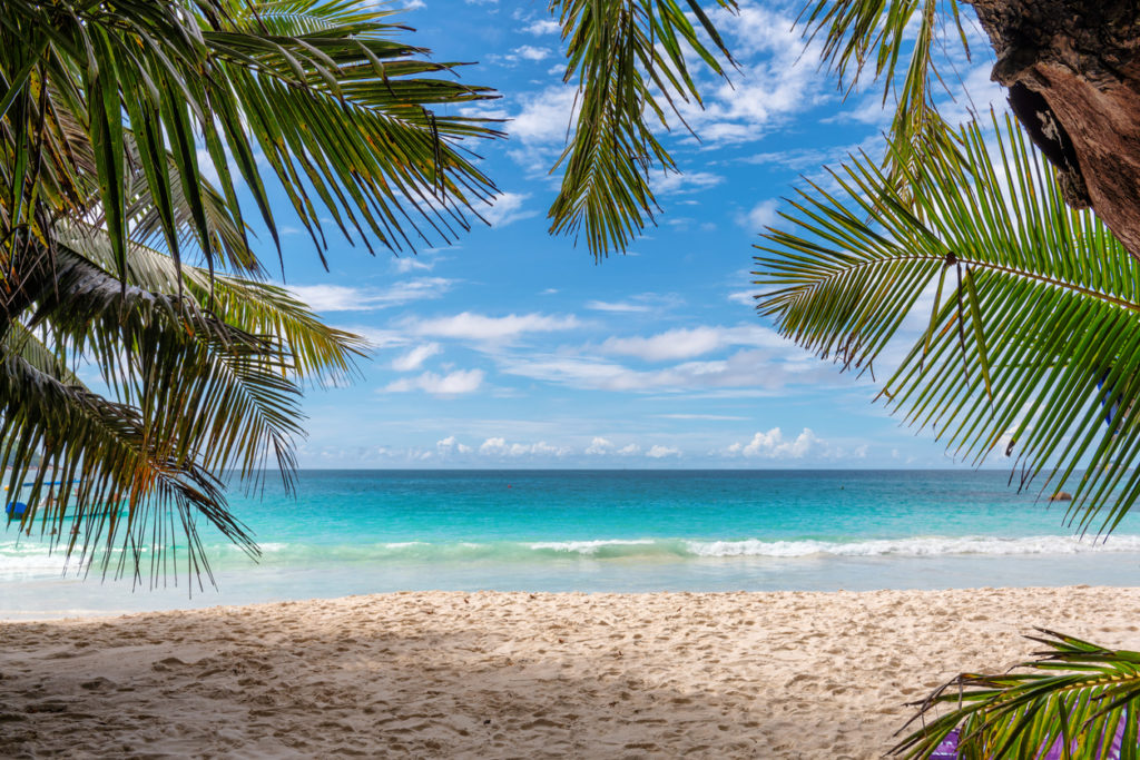 Jamaica tropical sandy beach