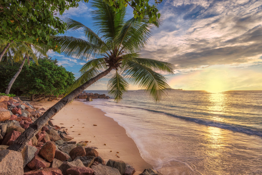 Jamaica beach at sunset