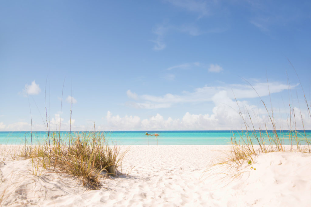 The beach dunes of Panama Beach