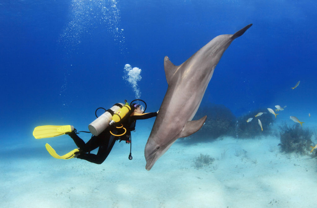 Scuba Diving in the Bahamas