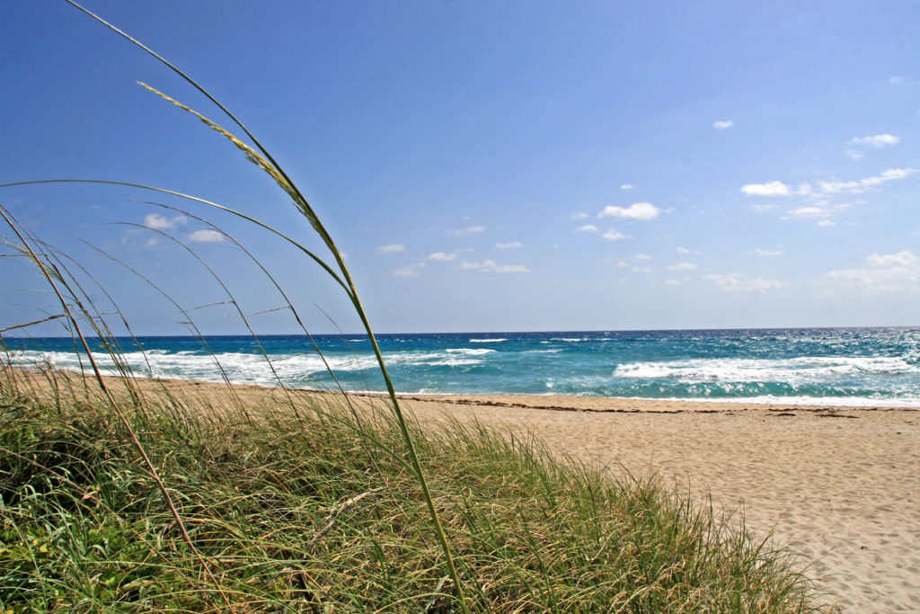 West Palm Beach Shoreline