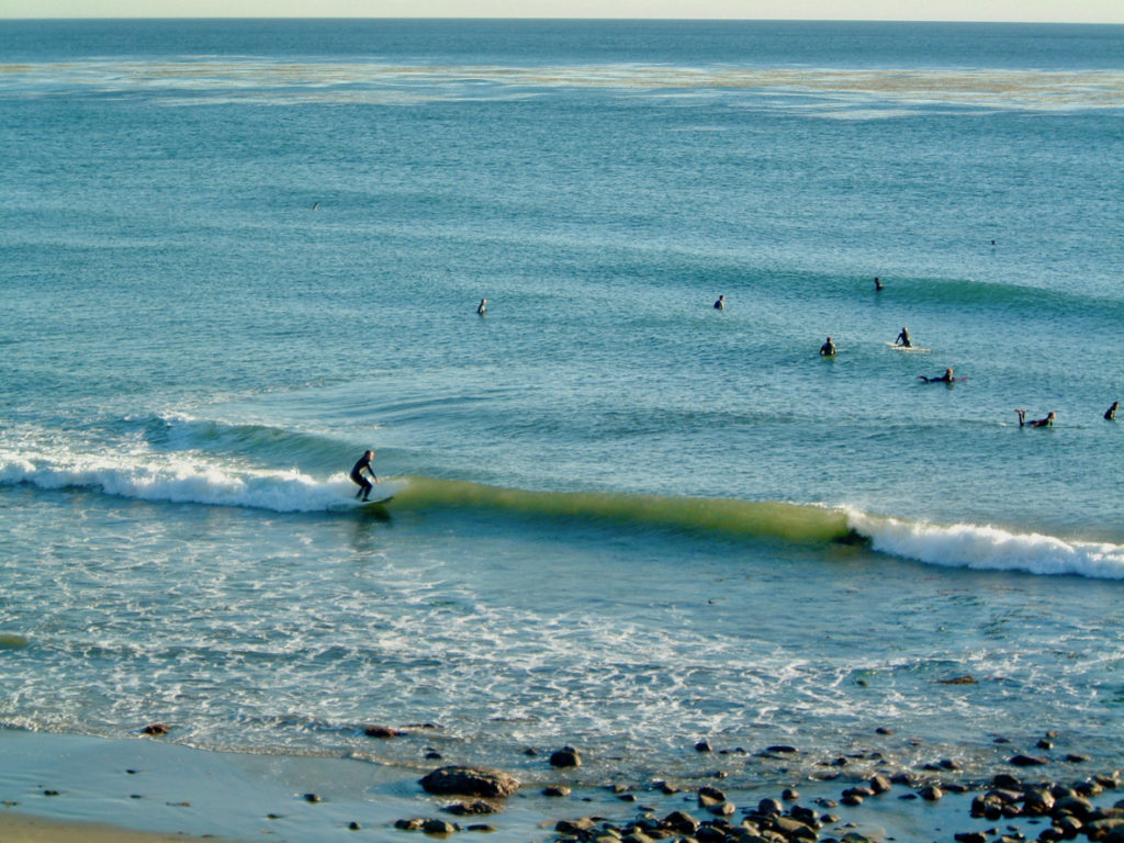 Surfer Malibu Beach