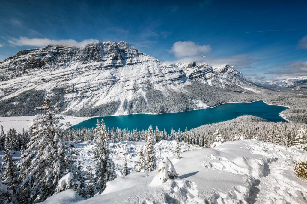 Peyto Lake with reflection at Banff National Park, Canada.